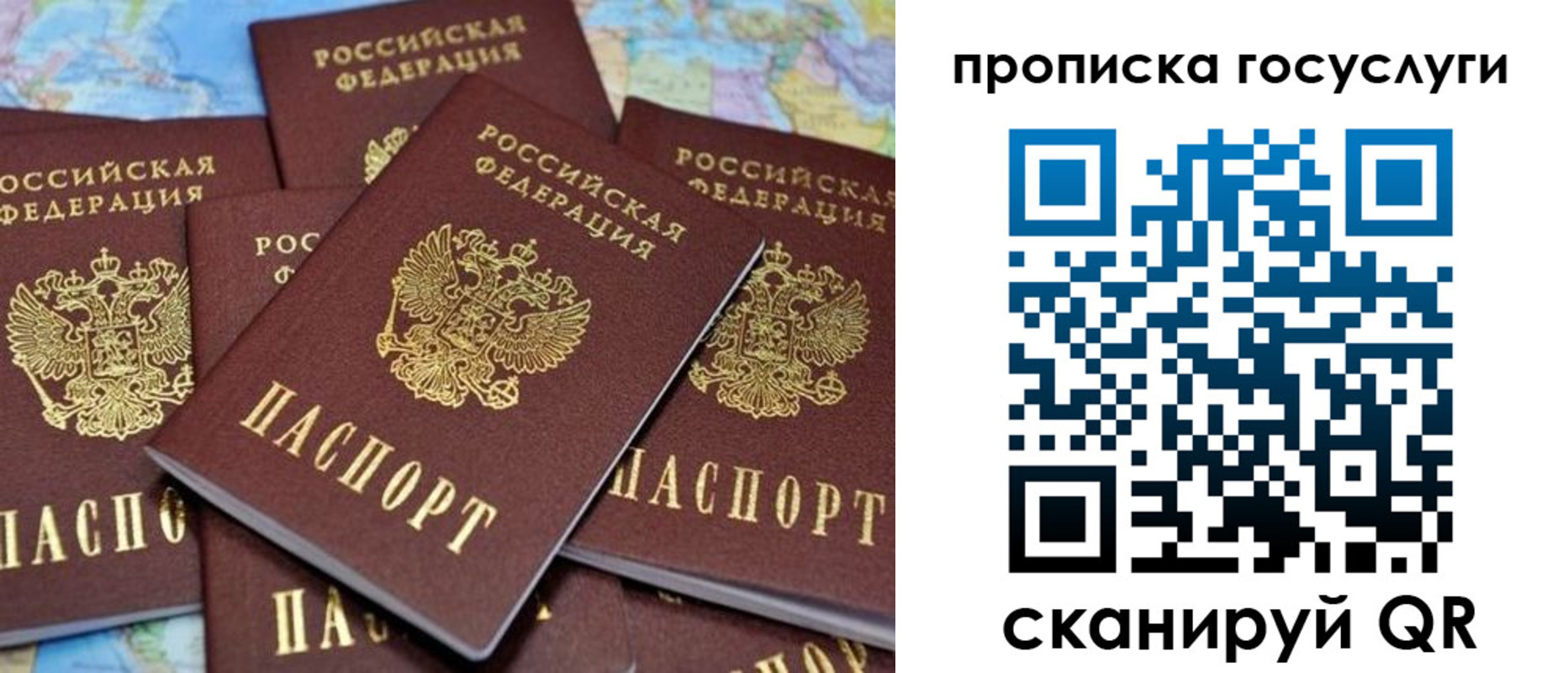 временная регистрация для всех в Курской области