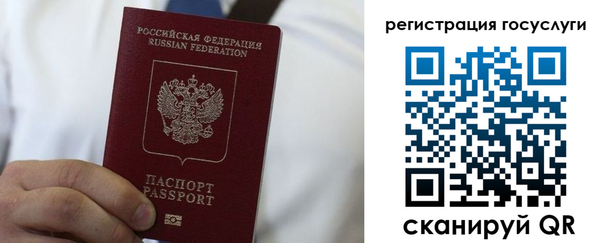 прописка в Курской области