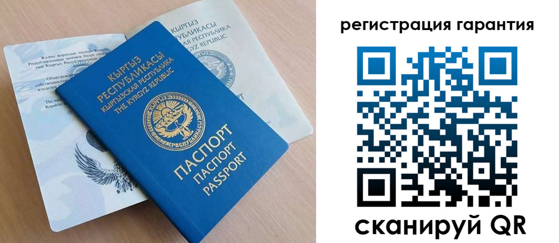 прописка иностранных граждан в Курской области